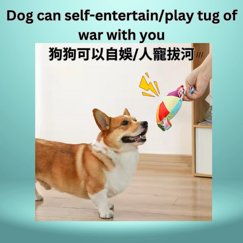 Dog Colorful plush disc toy(with bell sound)