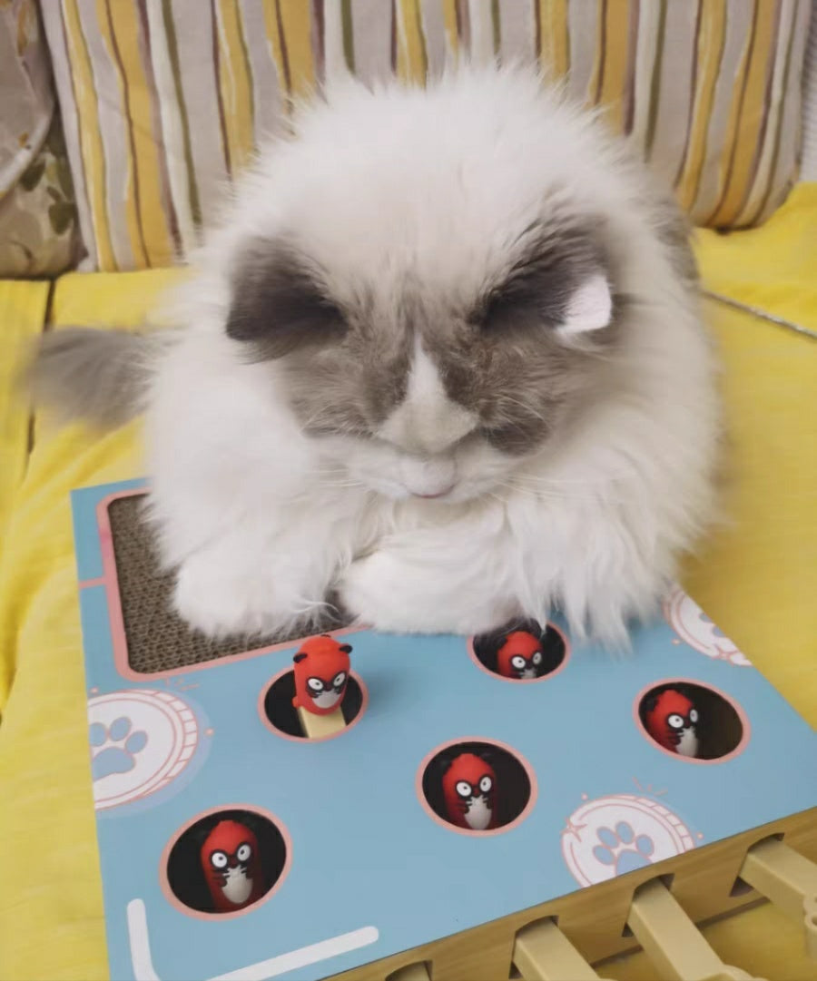 Interactive Cat Toy Hamster teasing Machine with scratching board
