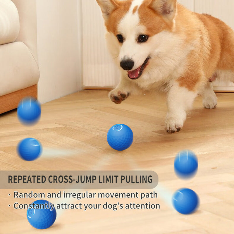 Interactive Jumping Ball Toy for Dogs - Endless Entertainment and Exercise