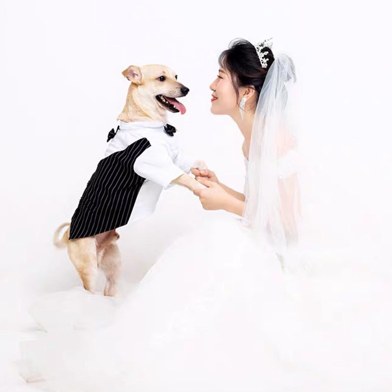 Tuxedo for dogs(all occasions)