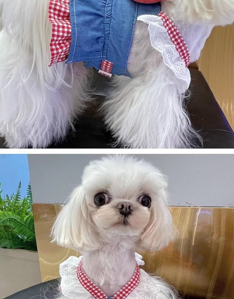 Japan style Lotso Bear harness/dress
