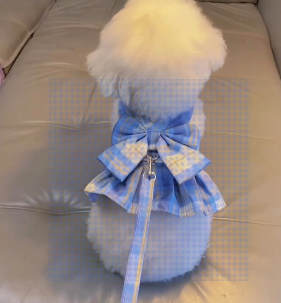Ribbon dress dog harness(Comes with Matching leash, available in Pink and Blue color)