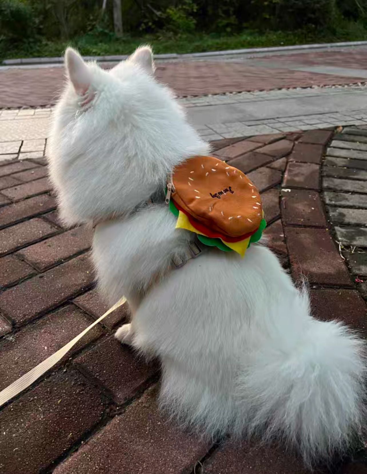 Dog harness with cute little back pack(come with leash) - Big burger