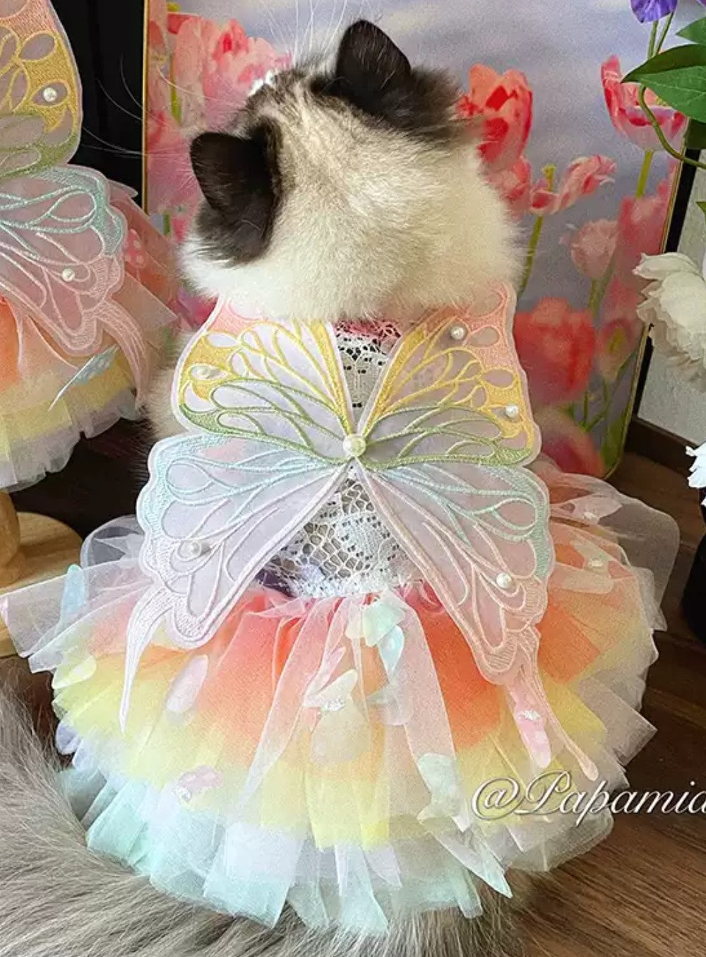 Candy Sweet Butterfly dress for dogs/cats