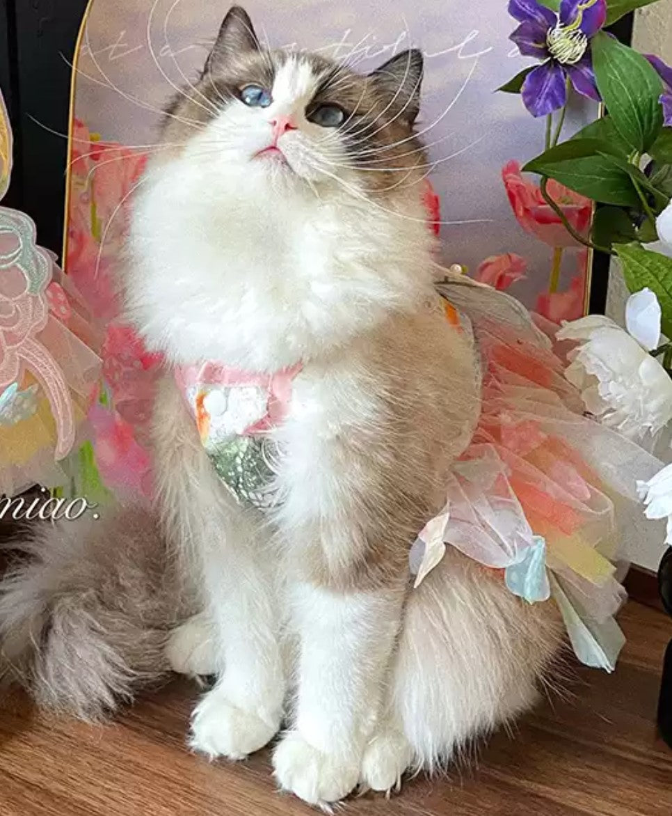Candy Sweet Butterfly dress for dogs/cats