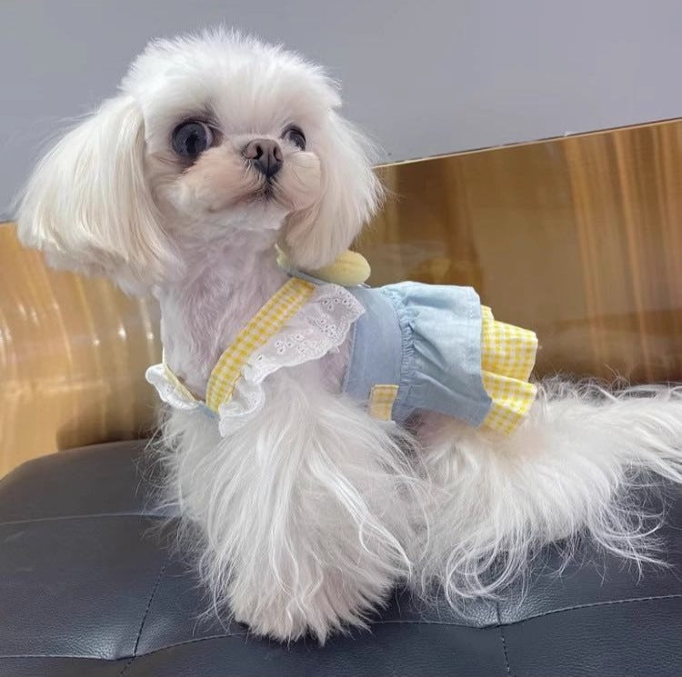 Japan style Yellow kitten Dog harness/dress