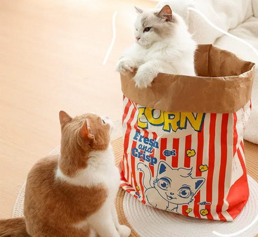 Paper Bag Toy for all sized cats