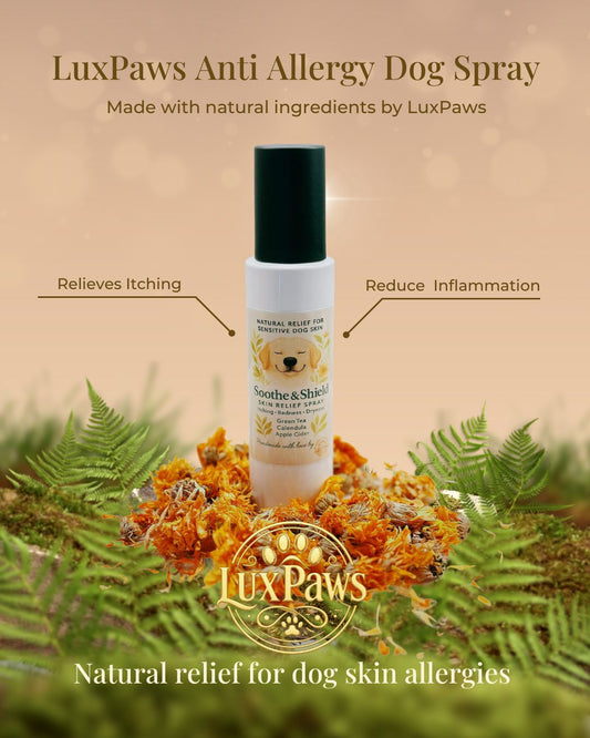 LuxPaws Dog Allergy Spray – Natural Itch & Redness Relief | 120ml