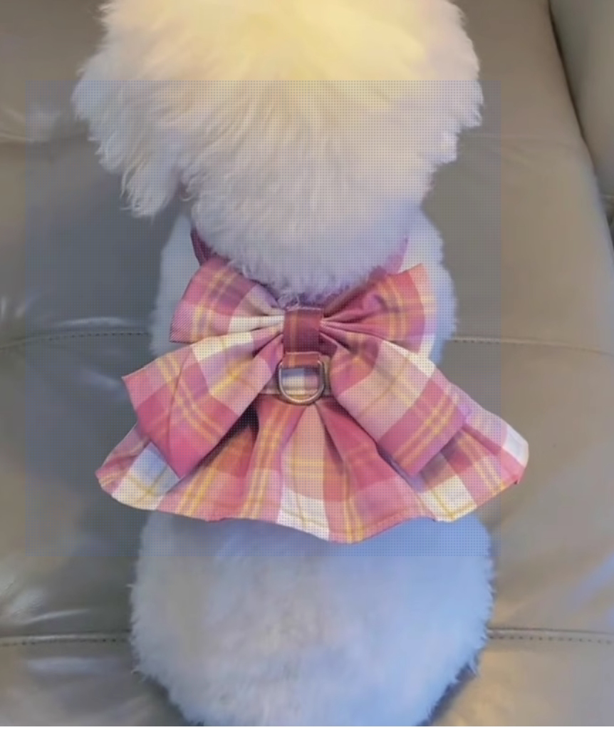 Ribbon dress dog harness(Comes with Matching leash, available in Pink and Blue color)