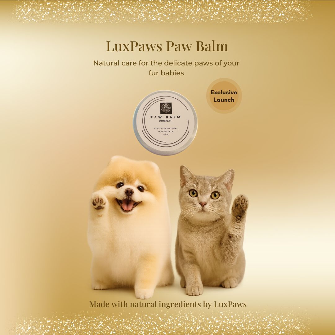 LuxPaws Paw Balm for Dogs & Cats – Natural Moisturizing Paw Care | 50g