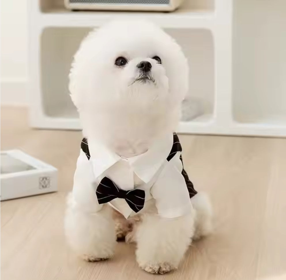 Tuxedo for dogs(all occasions)