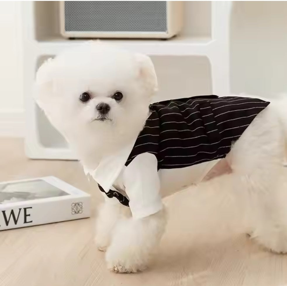 Tuxedo for dogs(all occasions)