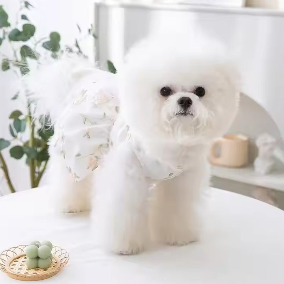 A refreshing lace harness dress for dogs/cats