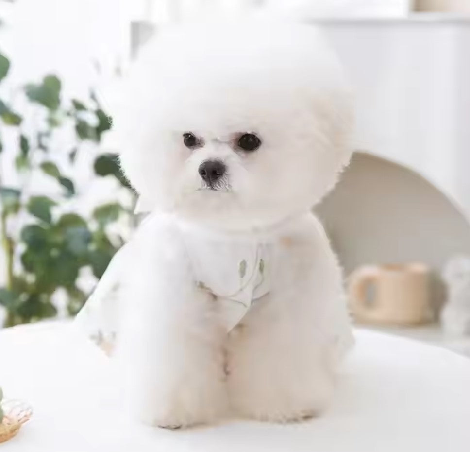 A refreshing lace harness dress for dogs/cats