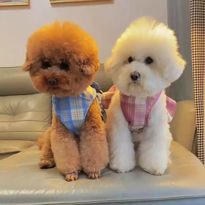 Ribbon dress dog harness(Comes with Matching leash, available in Pink and Blue color)