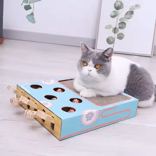 Interactive Cat Toy Hamster teasing Machine with scratching board